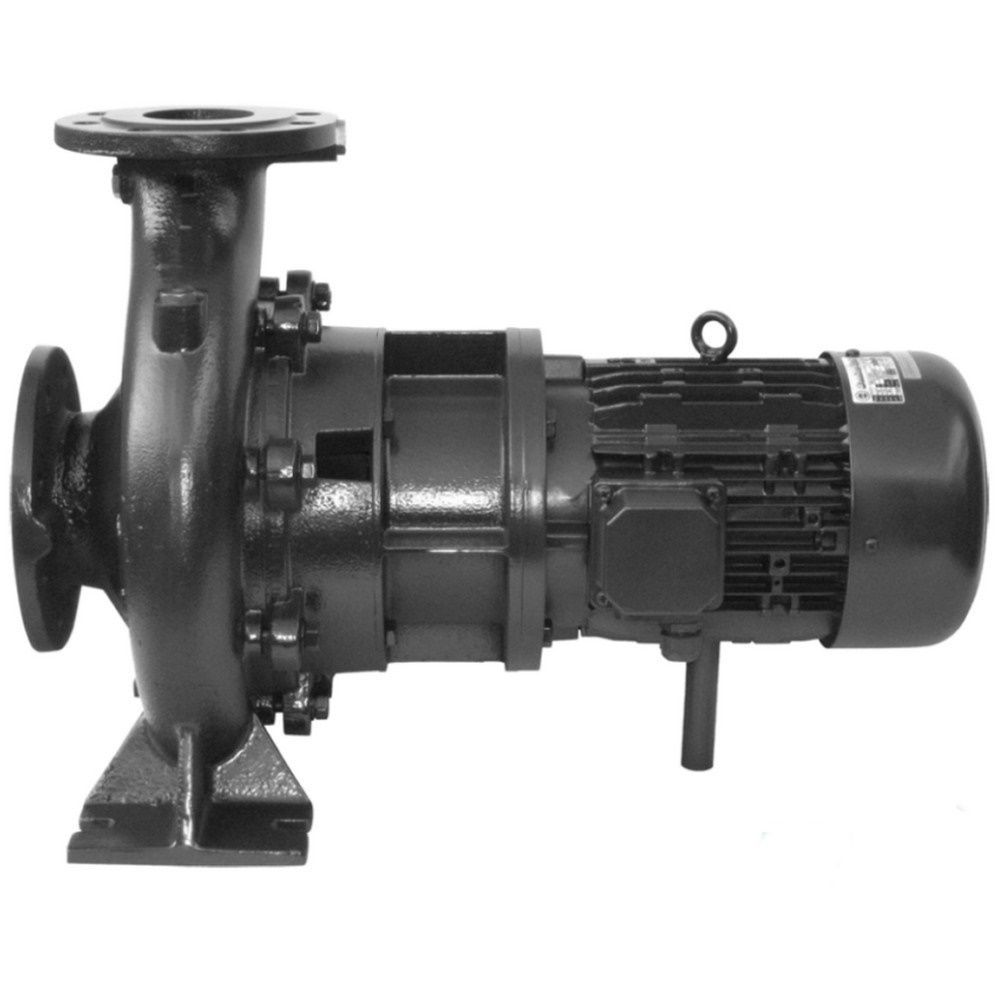 rxl96mt6o6115mzoaej1zkspqcluknnx